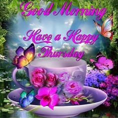 good morning have a happy thursday greeting card with flowers and butterflies in a teacup