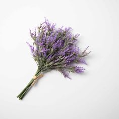 a bunch of lavender flowers on a white background