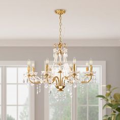 a chandelier hanging from the ceiling in a room with windows and potted plants