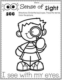 Sense of Sight Coloring Page for Preschool - Preschool 5 Senses Unit 5 Senses Seeing Activities, 5 Senses Coloring Page, 5 Senses Coloring Page Preschool, Five Senses Crafts For Preschool