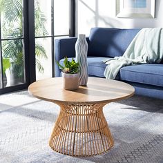 a living room with a couch, table and potted plant