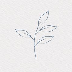 a blue line drawing of a single leaf