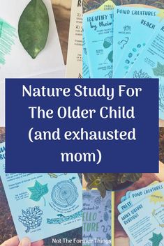 nature study for the older child and exhausted mom