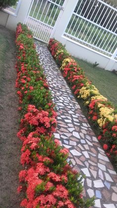 the walkway is lined with colorful flowers in front of a white fence and window sill