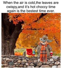 a scarecrow standing in front of a tree with fall leaves on it and the caption reads, when the air is cold, the leaves are swspy, and it's hot choc