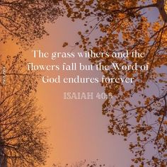 the grass where and the flowers fall but the word of god entrudes forever