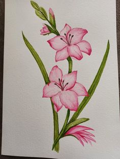 a painting of pink flowers on white paper with green stems in the foreground and bottom right corner