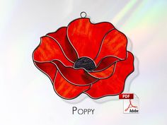 an image of a red poppy flower on a white background with the word poppy above it