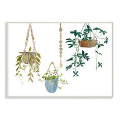 three hanging planters with plants in them on a white background, one is blue and the other has green leaves