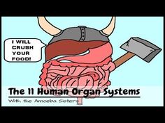 an image of the human organ system with text that reads, i will crush your food