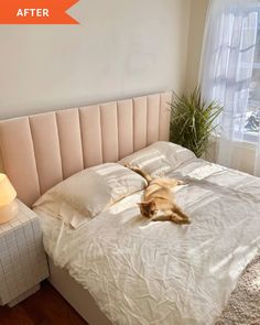 a cat laying on top of a white bed in a bedroom next to a window