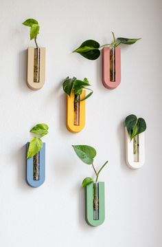 four planters are mounted on the wall with plants in them