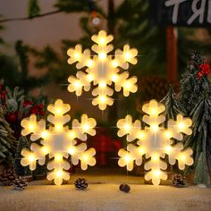 lighted snowflakes are displayed in front of christmas trees and pineconis