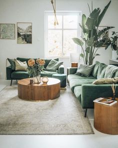 a living room filled with green couches and tables next to a large potted plant