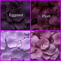 four different shades of purple flowers with the words eggplant, lavender and lilac