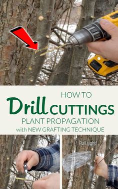 how to make a tree grafting the easy way by using an electric drill and pliers