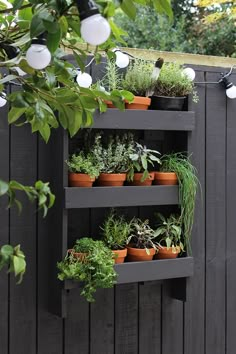 an outdoor garden with potted plants and lights hanging from the side of a fence