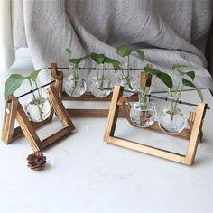 several small vases with plants in them are displayed on an instagram page for shoppers