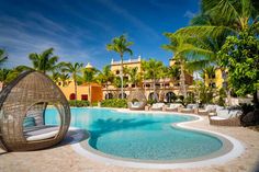 an outdoor swimming pool surrounded by palm trees