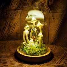 a glass dome filled with mushrooms and moss