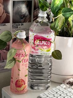 a bottle of peach water next to a computer keyboard and potted plant on a desk