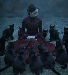 a woman in a red dress surrounded by black cats