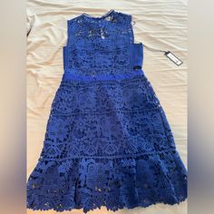 Very Cute Blue Lace Cut Out Dress. Size Med And Fits Like A Size 6 And Hits Above The Knee. Never Worn. Blue Lace Midi Length Dresses, Blue Lace Knee-length Dress, Blue Lace Sleeveless Mini Dress, Elegant Royal Blue Mini Dress For Summer, Blue Lace Sleeveless Midi Dress, Sleeveless Blue Lace Midi Dress, Fitted Royal Blue Lace Dresses, Fitted Blue Lace Dress, Blue Lace Midi Dress For Date Night