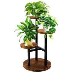 three tiered plant stand with two plants on each shelf and one potted plant