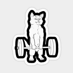 a cat sitting on top of a barbell