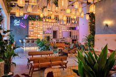 the interior of a restaurant with wooden tables and chairs, hanging plants, and potted plants