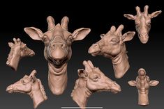 several different types of giraffe heads on a black background