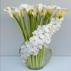 white flowers are in a clear vase with water