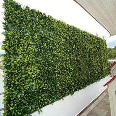 a large green hedge on the side of a building