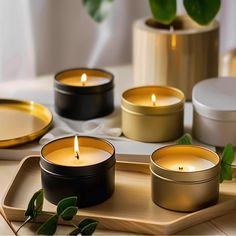 three candles sitting on top of a tray next to some plates and potted plants