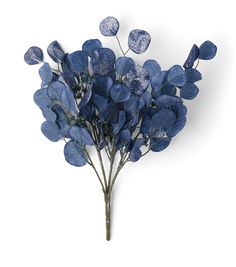 a bunch of blue flowers sitting on top of a white wall