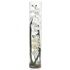 white flowers are in a tall glass vase