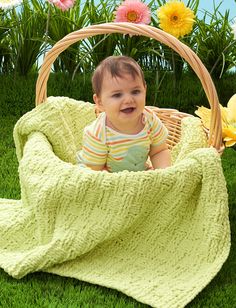 a baby is sitting in a basket with a blanket on it and flowers behind him