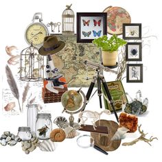 a collage of various items including pictures, plants and other things to make it look like an old world map