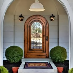 an arched wooden door with two potted plants on either side and a rug in front