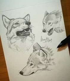 three different types of wolfs are shown in this drawing