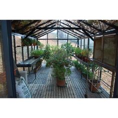 the inside of a greenhouse with potted plants