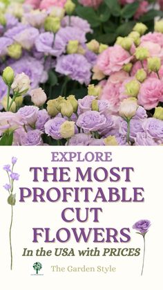 flowers with the words explore the most proffiable cut flowers in the usa with prices