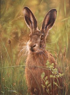 a painting of a brown rabbit sitting in tall grass and looking at the camera with an alert look on its face