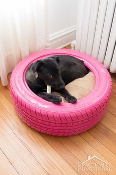 a black dog laying in a pink tire bed