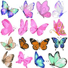 a bunch of different colored butterflies on a white background