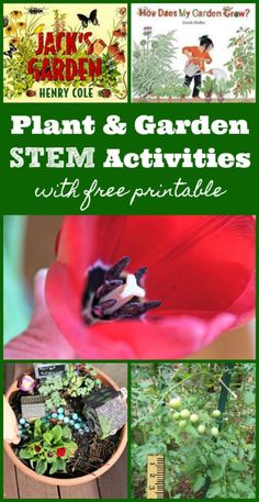 Plant activities for kids and garden science projects