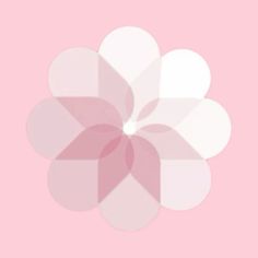 a pink and white flower on a pink background