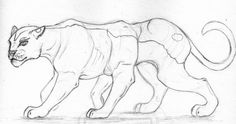 a pencil drawing of a cat walking on the ground