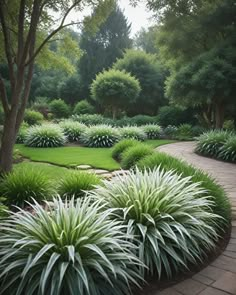 a garden with lots of green plants and trees