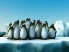 a group of penguins standing on top of an ice floet in the ocean